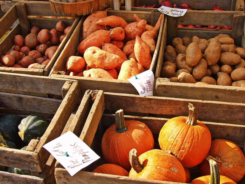 Fall Foods